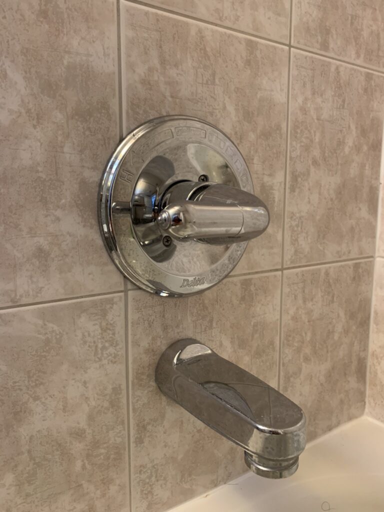 existing dated chrome shower fixtures