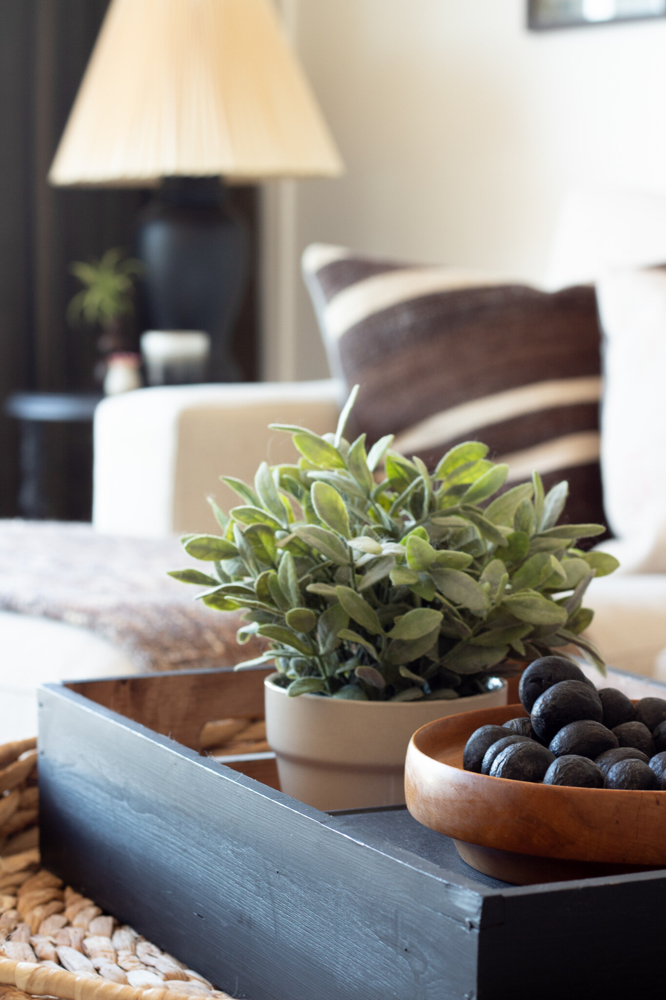 Portrait image of plant on a black tray with living room in back ground