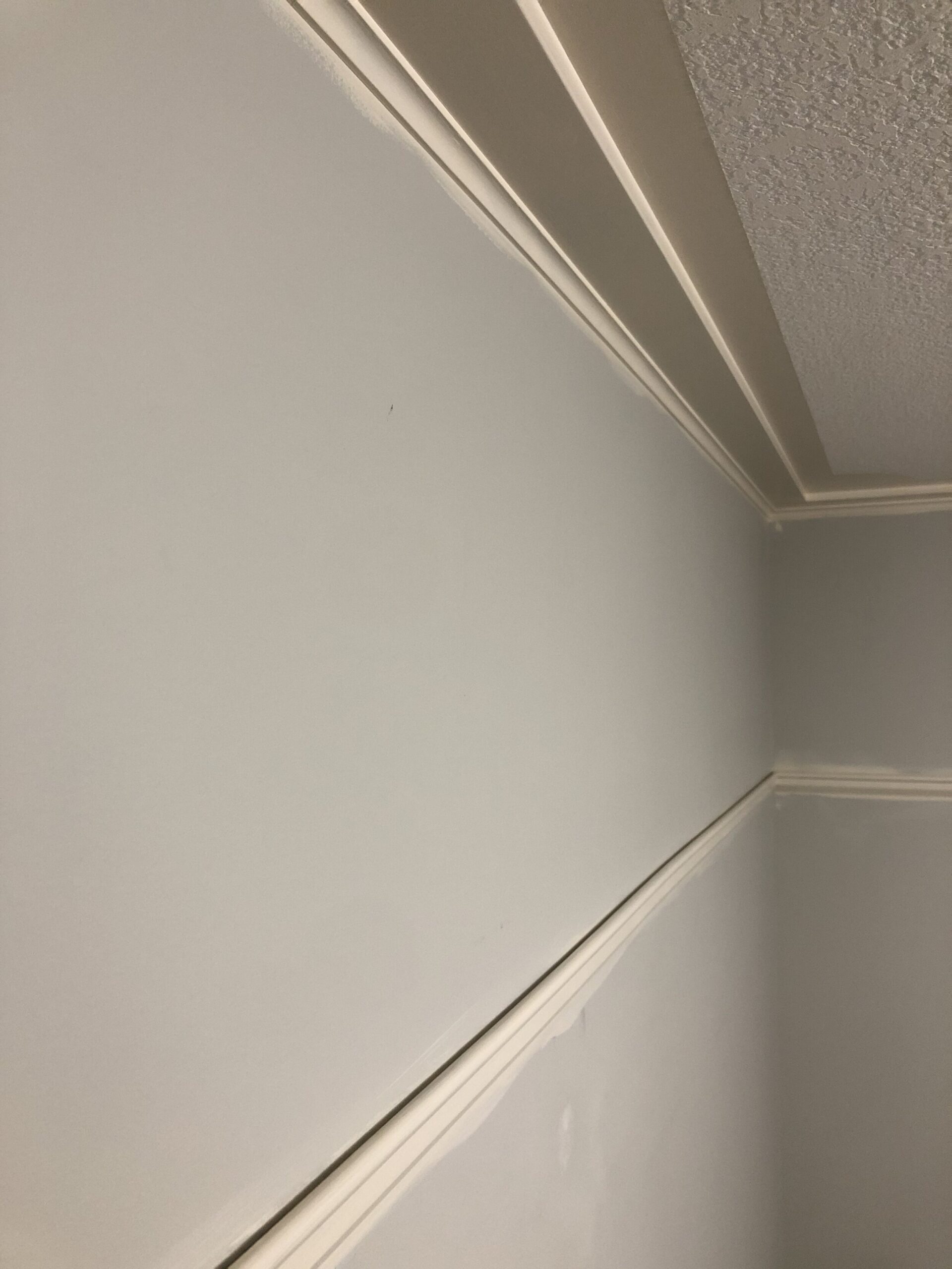 installed picture rail and crown moulding 