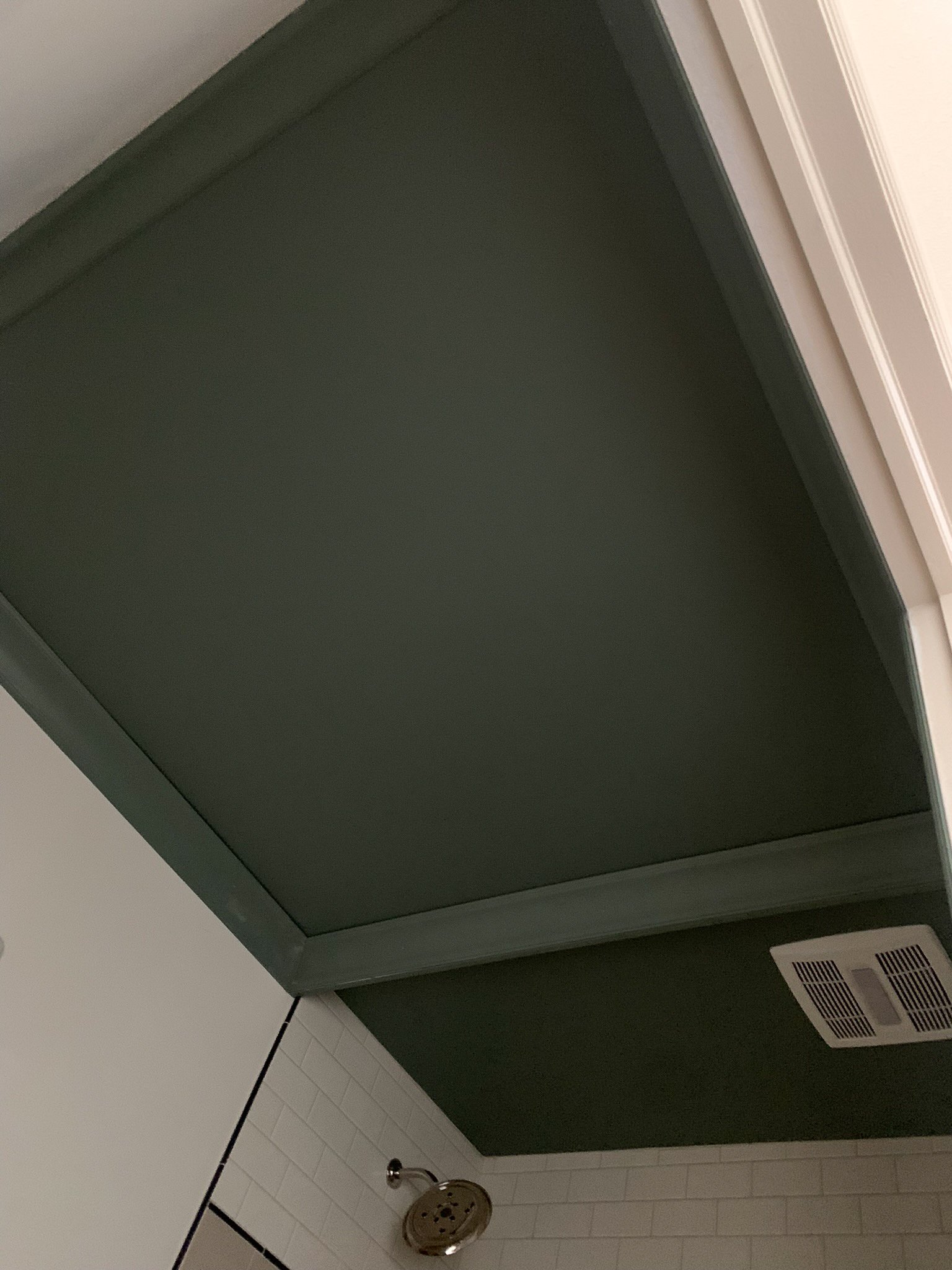 green ceiling with crown moulding where the crown moulding is installed in front of a shower