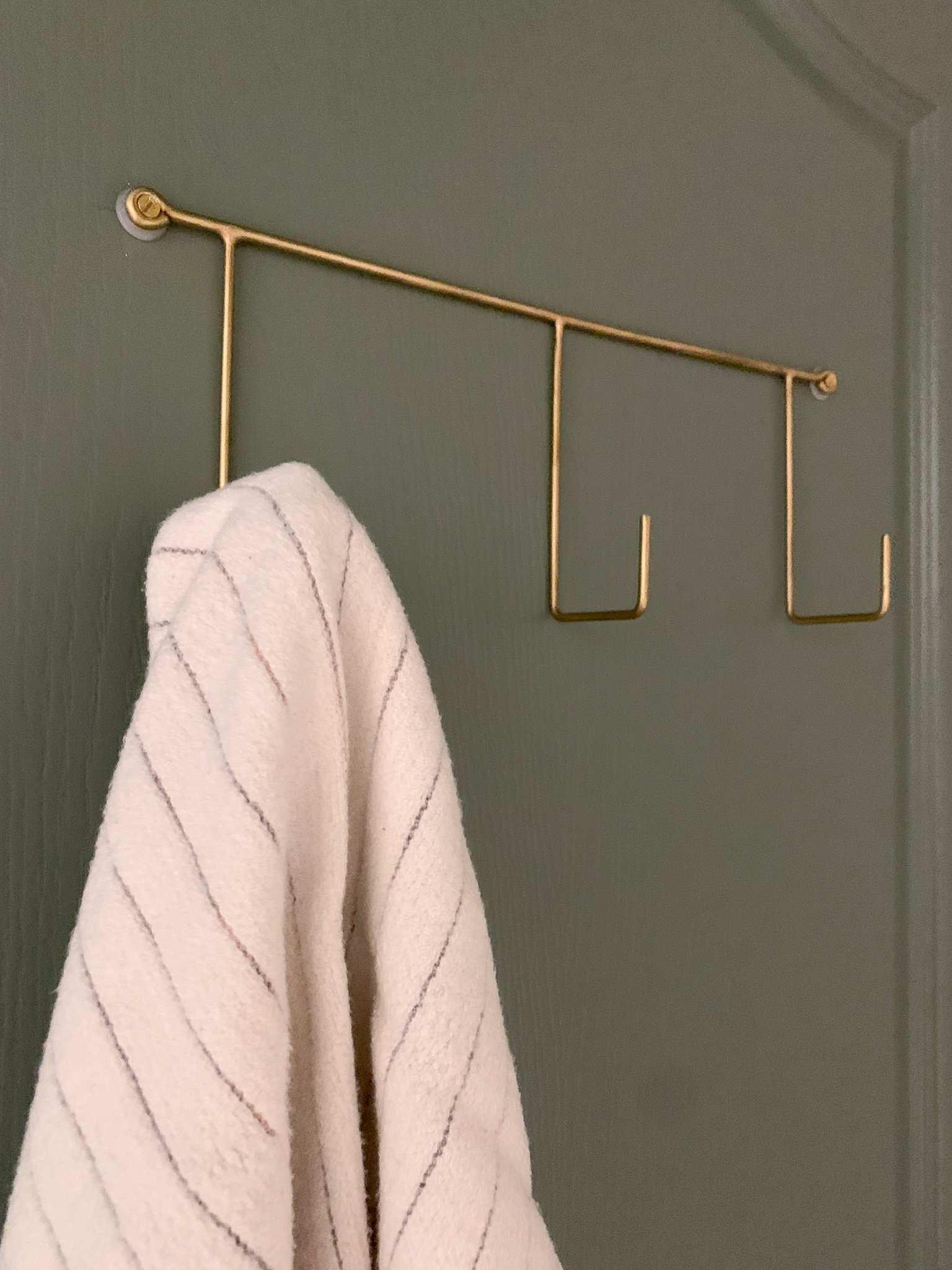 Modern brass hooks with a towel on it on a green door