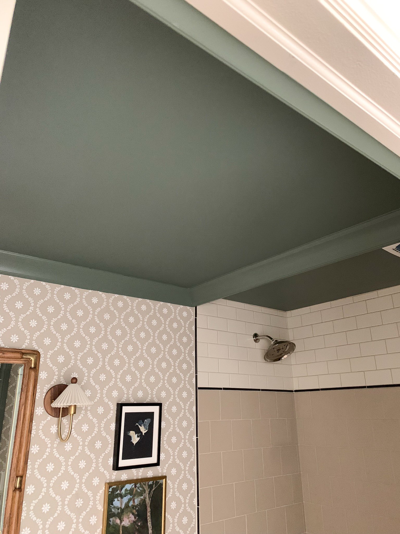 Smooth green ceiling with green crown moulding