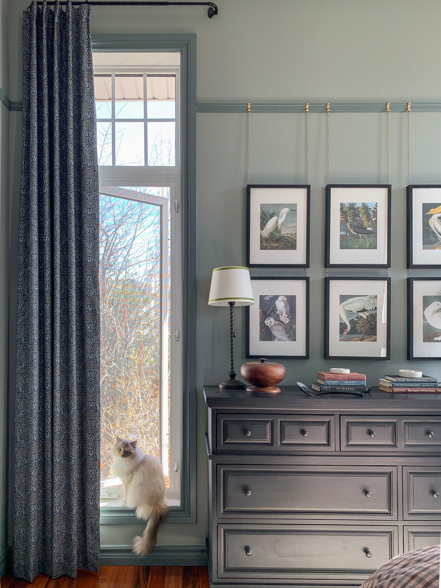 dresser against a green wall with bird art above, dark green trim, long window with floral curtains and cat in the window