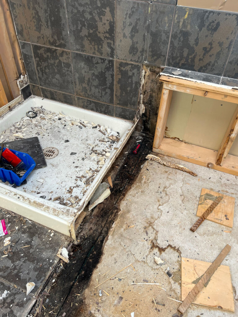 Image showcasing How to DIY Bathroom Demolition - Erin Zubot Design
