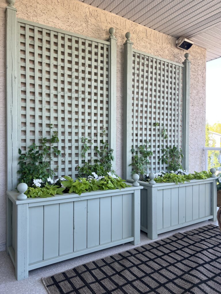 Two planters with tall lattices for climbing vines.
