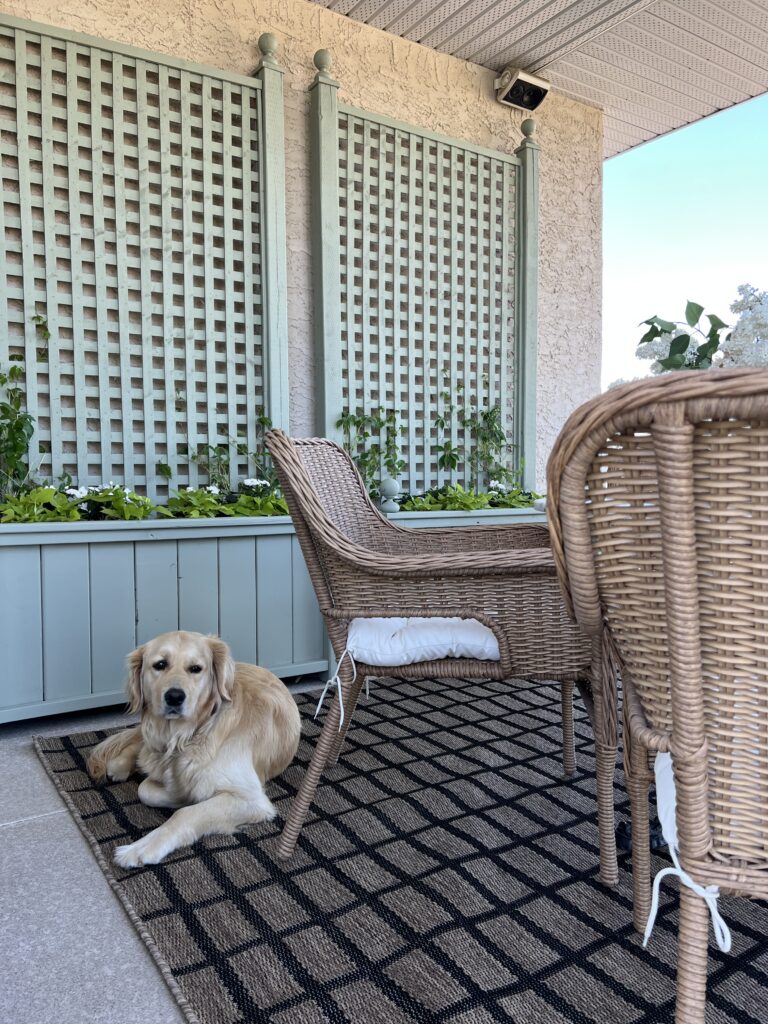 The patio is set up with the DIY tall planters.